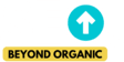 SEO Beyond Organic Logo